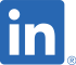 LI-In-Bug